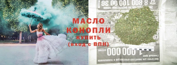 тгк Абаза