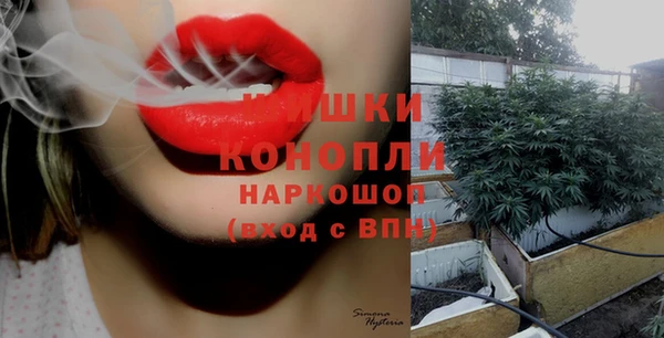spice Абинск
