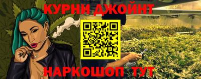 крисы Нальчик