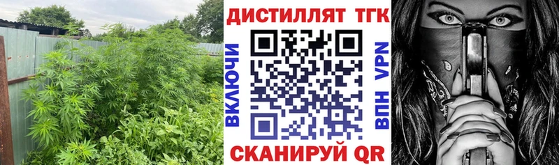 что такое наркотик  hydra сайт  Дистиллят ТГК гашишное масло  Алапаевск 