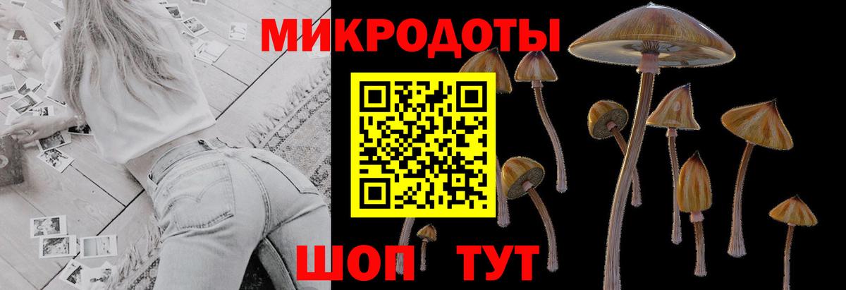 Псилоцибиновые грибы Magic Shrooms Алапаевск