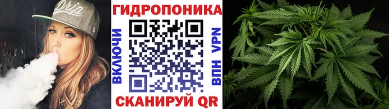 закладки Алапаевск гидра как войти Бошки Шишки LSD WEED